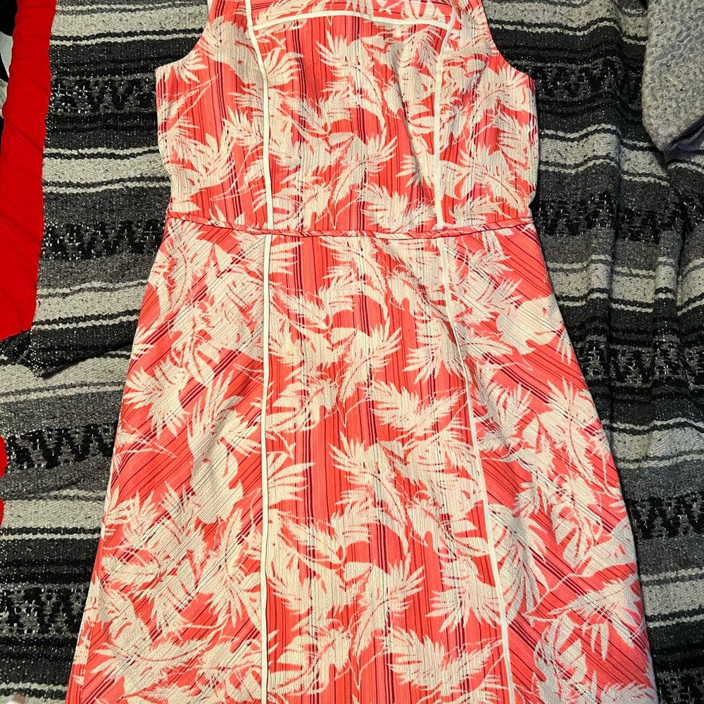 J Crew Size 14T new with tags crème and peach dress